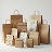 Paper Bags